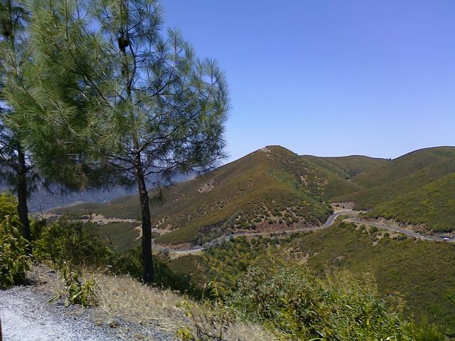 Windy road to reach Yosemite