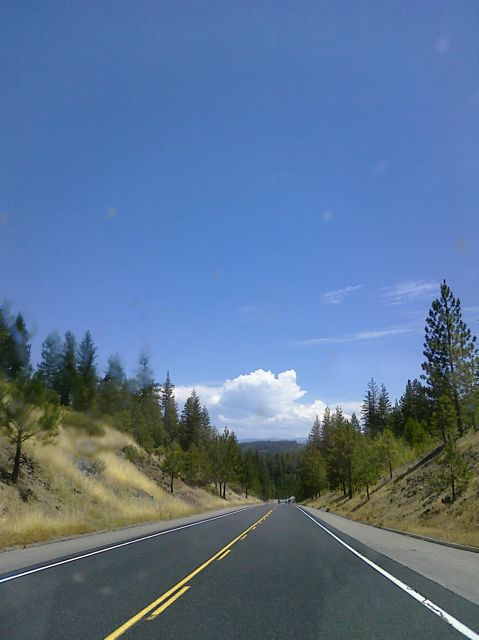 Can you spot the bugs on the windshield?