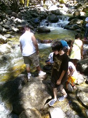 Playing in the stream