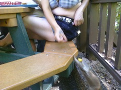Tourist feeding the squirrel