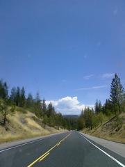 Can you spot the bugs on the windshield?
